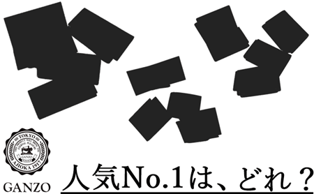 ガンゾ　人気革小物ランキング　TOP画