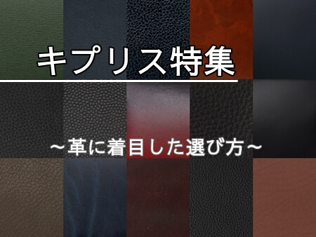 キプリス選び方　アイキャッチ